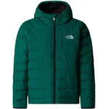 The North Face B Reversible Perrito Hooded Jacke grün