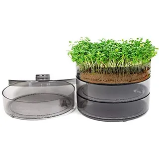 mgc24® Keimbar - Keimsprossenbox zur Anzucht von Keimsprossen mit 4 Keimschalen und Deckel