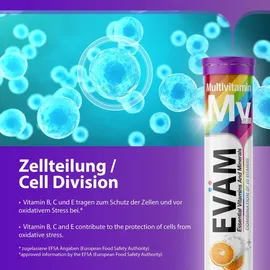 eväm Multivitamin Brausetabletten 3x 20 Stück