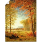 Artland Wandbild »Herbst in Oneida County, New York.«, Felder, (1 St.), als Leinwandbild, Poster in verschied. Größen, bunt B/H: 60 cm x 80 cm