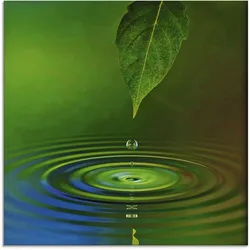 Artland Glasbild »Wassertropfen«, Zen, (1 St.), in verschiedenen Größen Artland Farbe Bild(er): grün