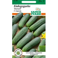 Samen Pfann Einlegegurke, Diamant F1 | Einlegegurkensamen von Samen Pfann