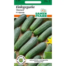 Samen Pfann Einlegegurke, Diamant F1 | Einlegegurkensamen von Samen Pfann