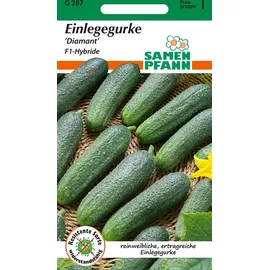 Samen Pfann Einlegegurke, Diamant F1 | Einlegegurkensamen von Samen Pfann