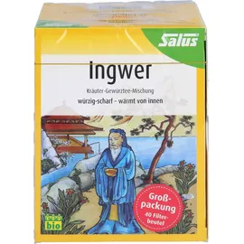 SALUS Ingwer Kräuter-Gewürztee-Mischung Teebeutel 40 St. 1,5 g