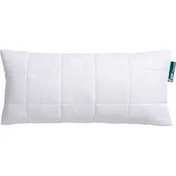 Baumwollkissen FAN "f.a.n. Medisan Sensitive", weiß, B:40cm L:80cm, Bezug: 100% Baumwolle. Füllung: 100% Polyester, Kopfkissen