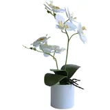 Dekorative Seiden-bonsai-orchidee Mit Realistischer Haptik, Künstliche Blumen Mit T√∂pfen, Künstliche Blumenarrangements Für Zuhause, Verschleißfest Und Farbecht, Imitations-orchideen-bonsai.//.