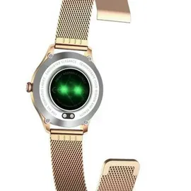 Maxcom FW42 gold