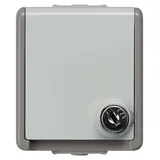 Siemens Schuko-Steckdose Delta Grau 1 St.