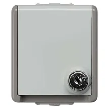 Siemens Schuko-Steckdose Delta Grau 1 St.