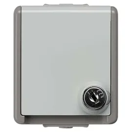 Siemens Schuko-Steckdose Delta Grau 1 St.