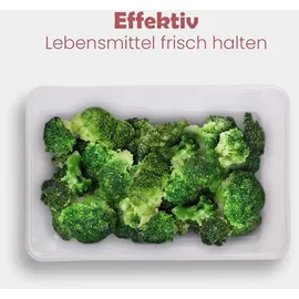 Pro Home Frischhaltedose rot 1,25 l 6-teiliges Set