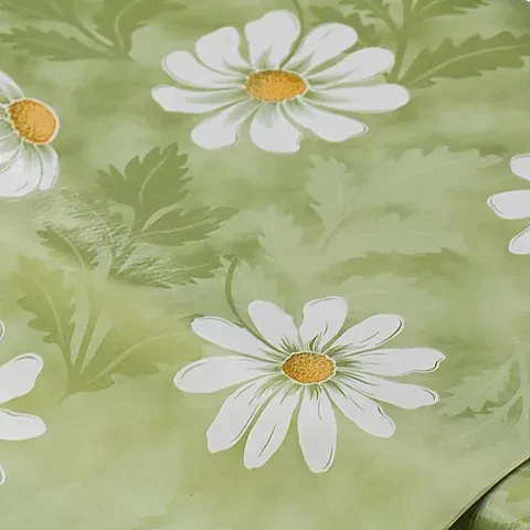Wachstuch "Gänseblümchen", grün-color