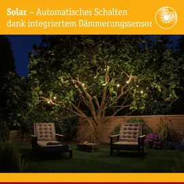 Paulmann Lichterkette Kunststoff, Metall 21,9 m 200 LEDs inkl. Dämmerungssensor schwarz