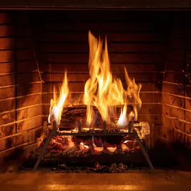 Relaxdays Kaminrost Schmiedeeisen 45,5 x 36 cm 20 cm schwarz