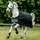 Horseware Ireland Outdoordecke 50g Amigo Bravo 12 Turn Out Weidedecke Black/Titanium Grey & Silver 155 (6'9)