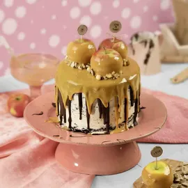 Kaiser Tortenring mit Griffen, 9 cm hoch