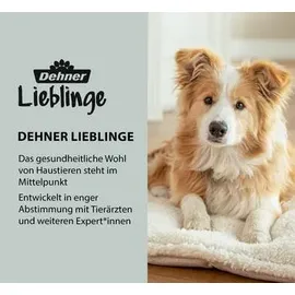 dehner lieblinge Tragehilfe für Hunde Schwarz M