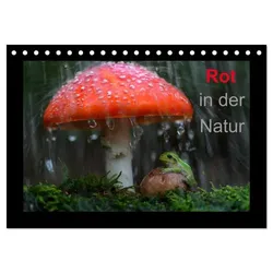 Rot in der Natur (Tischkalender 2025 DIN A5 quer), CALVENDO Monatskalender