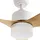 Beliani Deckenventilator mit Licht ANDERSON mit Fernbedienung LED Hellbraun