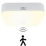 Toowell 10000mAh Akku Lampe mit Bewegungsmelder Innen Batteriebetriebene Deckenleuchte LED Deckenlampe Akku Licht mit Bewegungsmelder Batterie Leuchte für Garage Keller Badzimmer, Warmweißes Licht