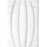 Frankenstolz Leicht-Steppbett Natura - 155x220cm