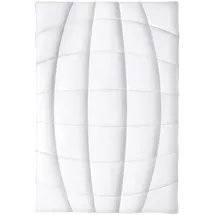 Frankenstolz Leicht-Steppbett Natura - 155x220cm