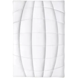Frankenstolz Leicht-Steppbett Natura - 155x220cm