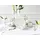 CreaTable Kaffeeservice Venice 18-tlg. beige