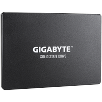 Gigabyte SSD 256 GB 2,5" GP-GSTFS31256GTND