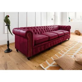 Massivmoebel24 Chesterfield Couch Echtleder 4-Sitzer Rot