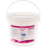 Canina Equolyt Seealgenmehl Pulver 4 kg