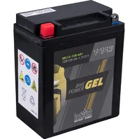Intact GEL 12N-12A-4A-1