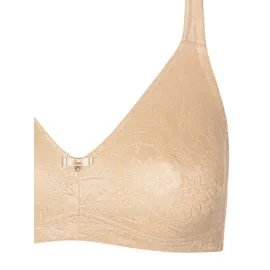 LISCA Minimizer-BH Jane", Li_020352_22 100C