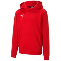 Puma Teamgoal Red 116
