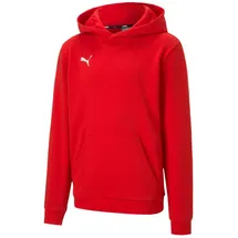 Puma Teamgoal Red 116