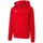 Puma Teamgoal Red 116