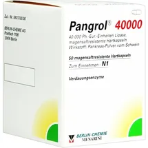 BERLIN-CHEMIE Pangrol 40000