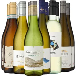 12er-Probierpaket »Sommerlieblinge«
