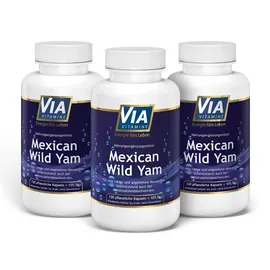 Via Vitamine Mexican Wild Yam Kapseln 120 St.
