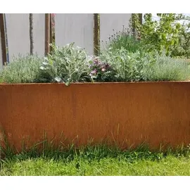 Palatino Lotte 80 x 40 x 50 cm Braun