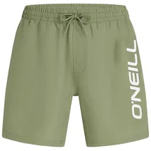 O'Neill Badeshorts Logo 16'' Fern Braun M