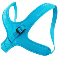 Edelrid Kermit II Brustgurt Icemint