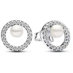 Pandora Ohrstecker Pandora Timeless 293154C01 - silber