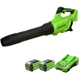 Greenworks GD40ABK2X Axial Akku Laubbläser mit bürstenlosem Motor, 210 km/h, 15,6 m3/min, zwei 40V 2Ah Akkus & Ladegerät, 3 Jahre Garantie