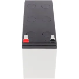 YUASA NPW45-12 12 Volt 8500 mAh 1 St.