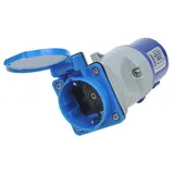 PRO PLUS ProPlus CEE nach Schuko Steckdose