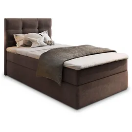 masseno GLOS 90 x 200 cm Braun