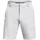 Under Armour Tech Tapered Golfshorts Herren 014 halo gray/halo gray W36