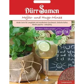 Dürr Samen Mojito- und Hugo-Minze